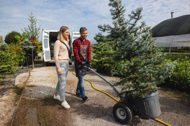 Best Hazardous Tree Removal  in Homeacre Lyndora, PA